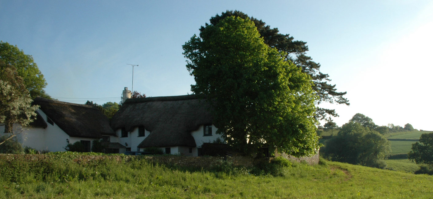 LittleHollands Nested