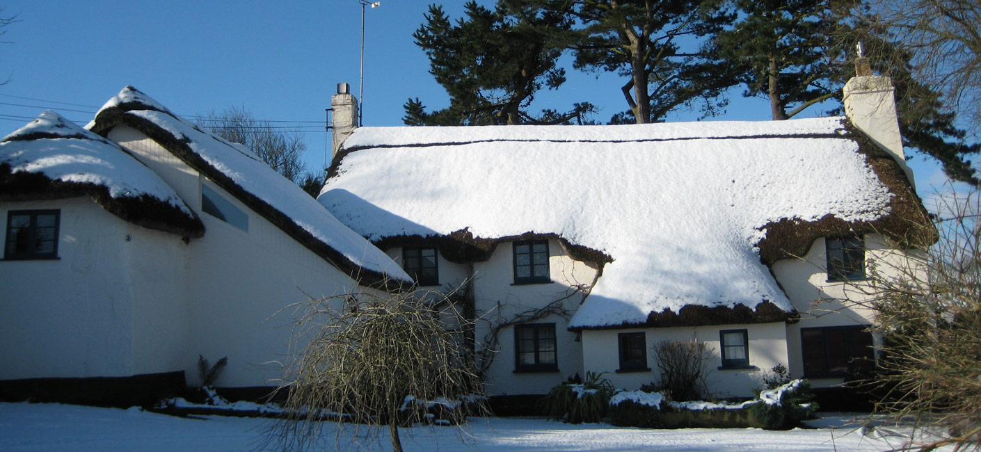 LittleHollands Snow