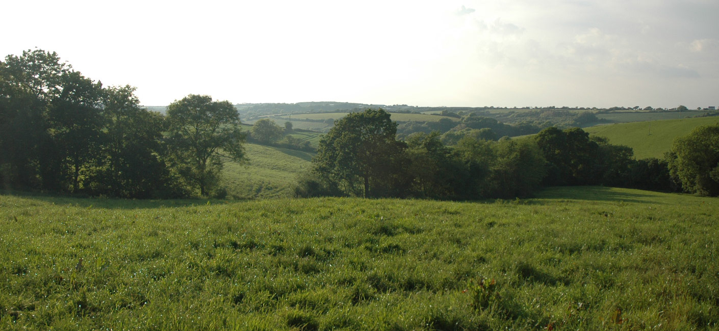 LittleHollands View